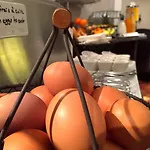 Western Crystal, Hotel&spa Nancy